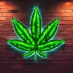 Maconha